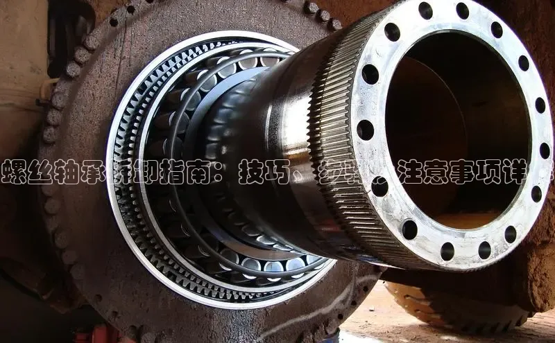 意昂体育招商赛富乐斯